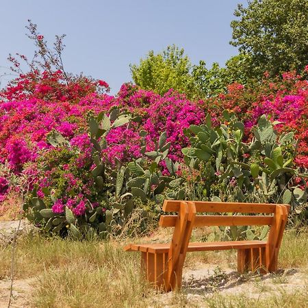 Tal Shahar Zimmers Bagian luar foto