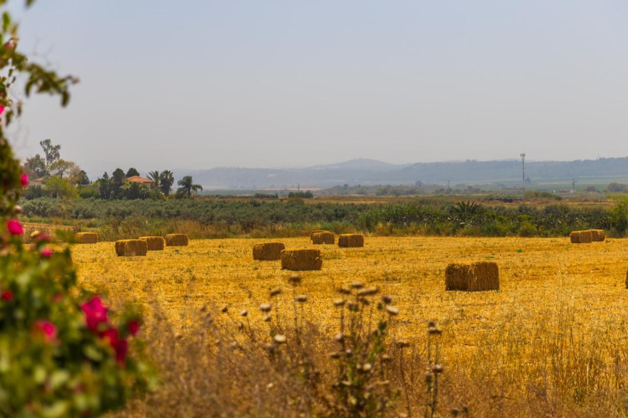 Tal Shahar Zimmers Bagian luar foto