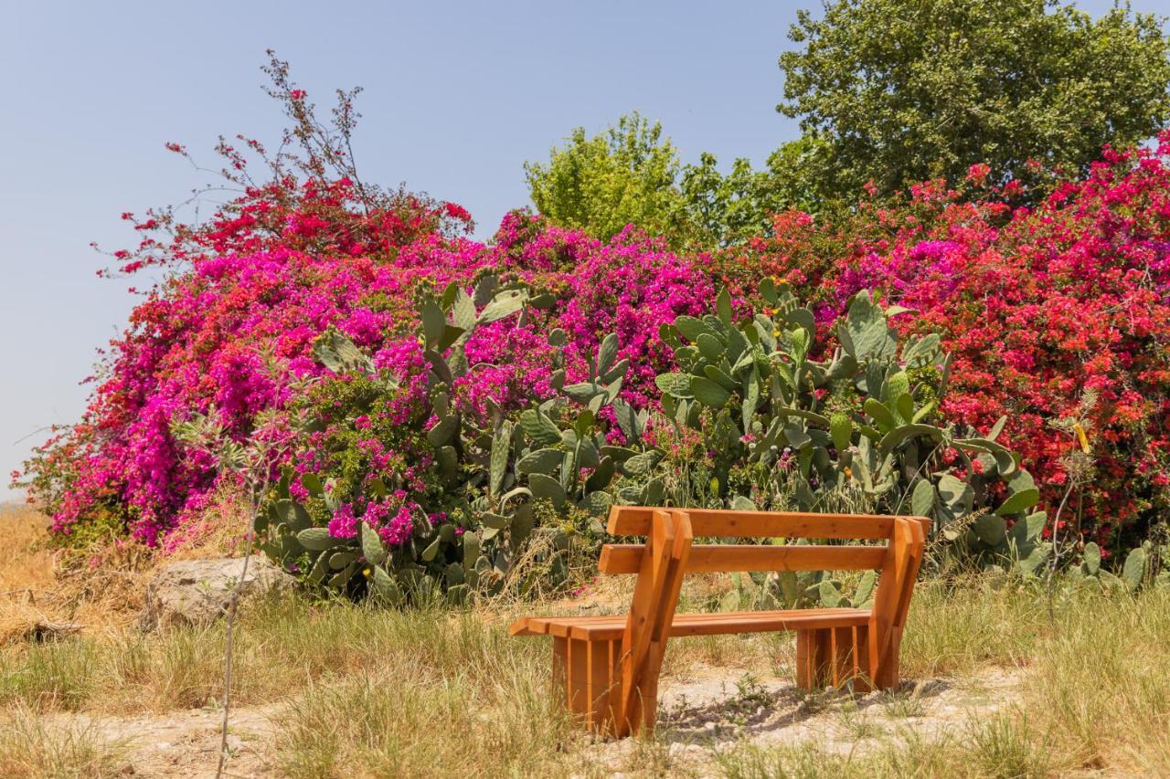 Tal Shahar Zimmers Bagian luar foto