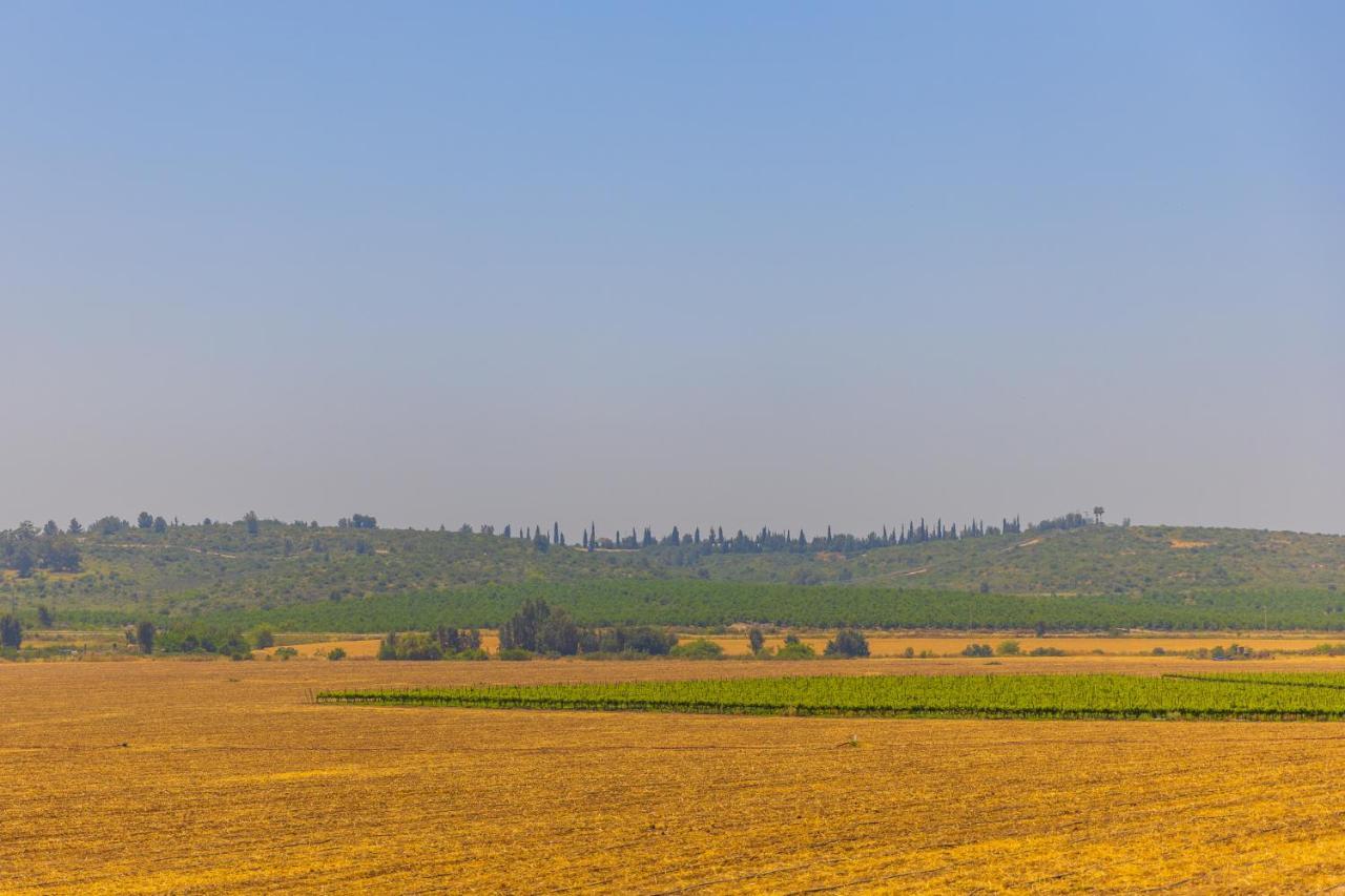Tal Shahar Zimmers Bagian luar foto